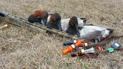 lonestar duck hunting