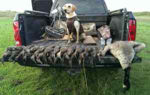 Early season duck & goose hunting