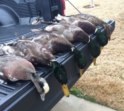 North TX Guided Duck Hunts