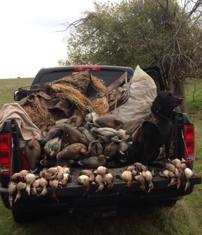 teal season in DFW Four Curl Nation