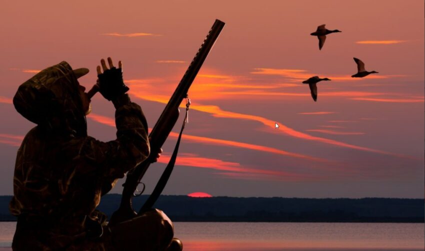 Understanding Duck Hunting