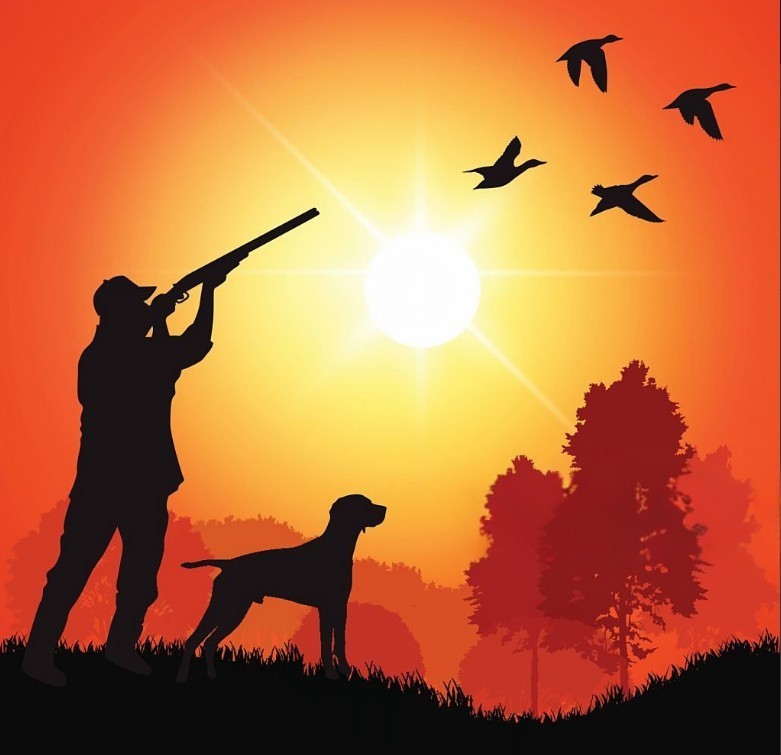 Practical Duck Hunting Tips and Field Wisdom