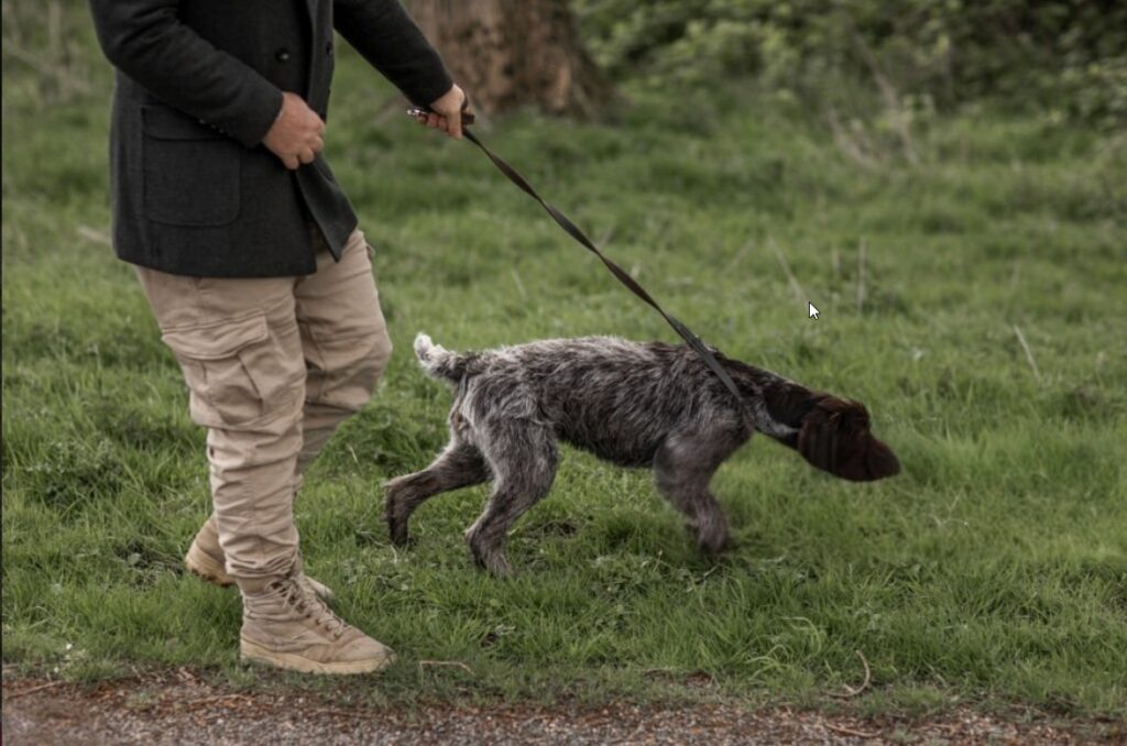 Advancing Through Hunt Test Levels